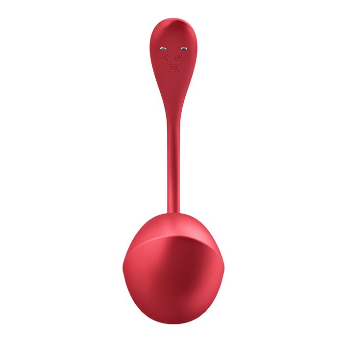 Satisfyer Shiny Petal Vibrator